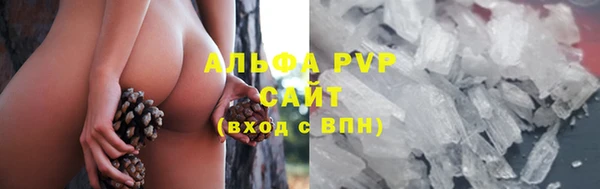 стаф Аркадак
