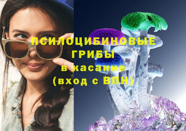 стаф Аркадак