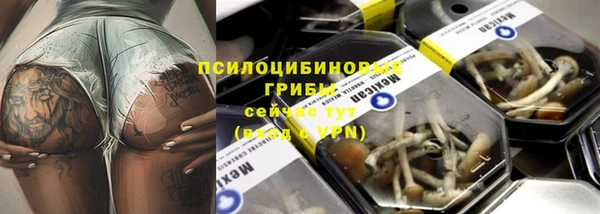 стаф Аркадак