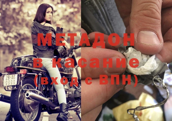 стаф Аркадак