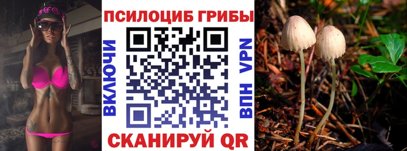 Псилоцибиновые грибы Cubensis  ОМГ ОМГ маркетплейс  Белая Холуница 